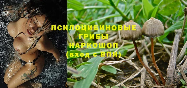 бошки Богородицк