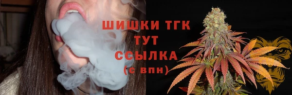 бошки Богородицк