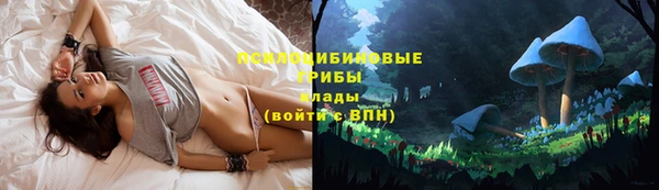 кокс Богданович