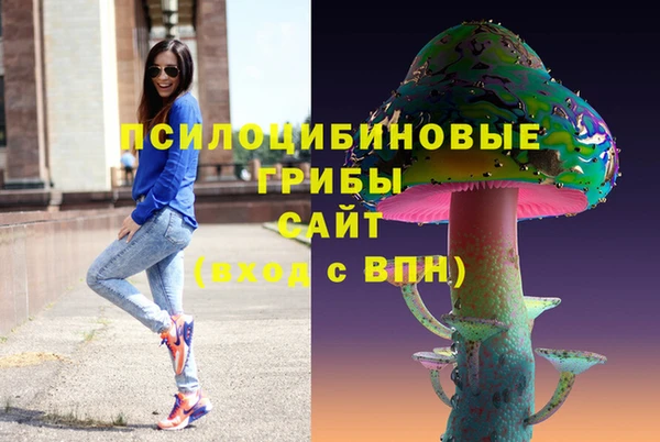 мдпв Богородск