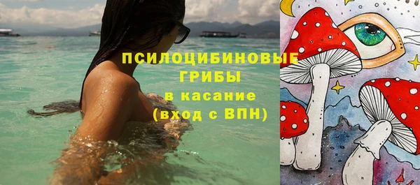 бошки Богородицк
