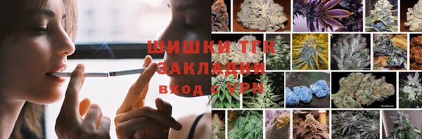 мдпв Богородск