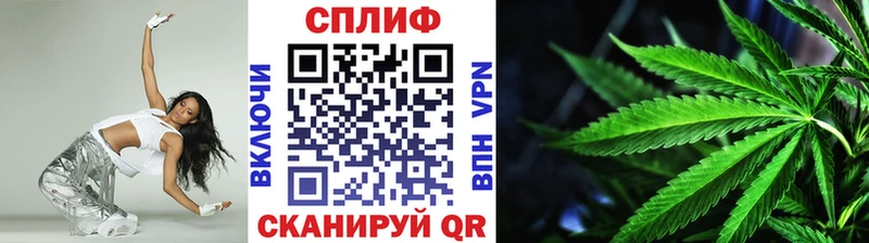 Конопля гибрид  блэк спрут зеркало  Димитровград 